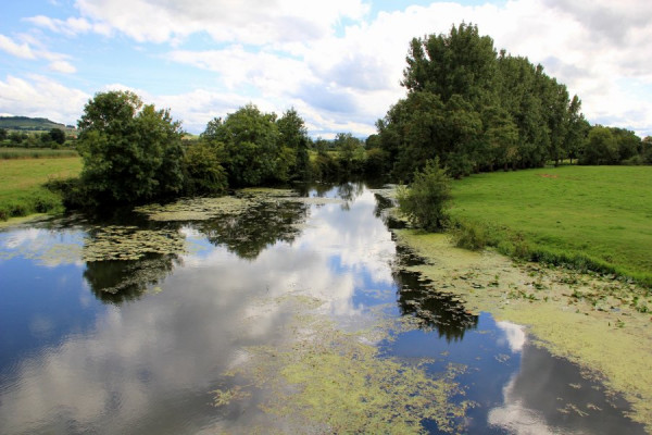 _an der Grosne im Burgund.jpg