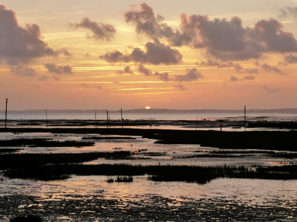 _Sonnenuntergang in Lanton an der französischen Atlantikküste.jpg