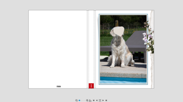 Screenshot (145).png