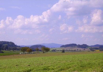 5MP 9Y9 F 7.7 BZ 322 ISO 50 BW 11.JPG