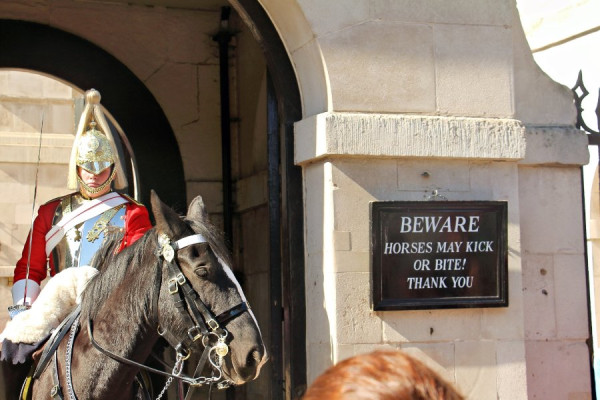 IMG_1163_Radiant (Groß).jpg