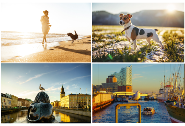 Screenshot 2024-10-02 084132.png