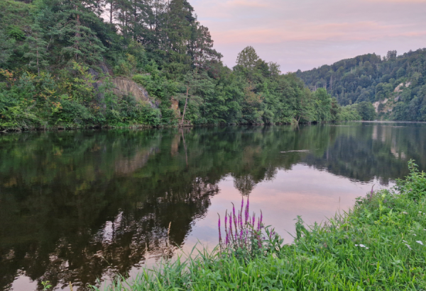 Screenshot (316).png