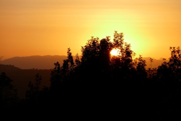 Tansania 2018 Lumix Teil 1 589.JPG