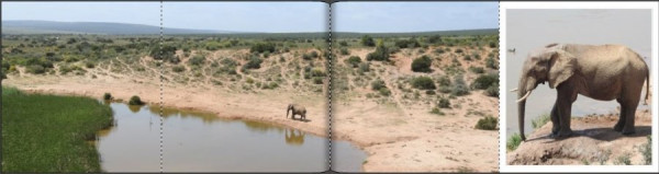 Suedafrikas Tierwelt_Panoramaseite.JPG