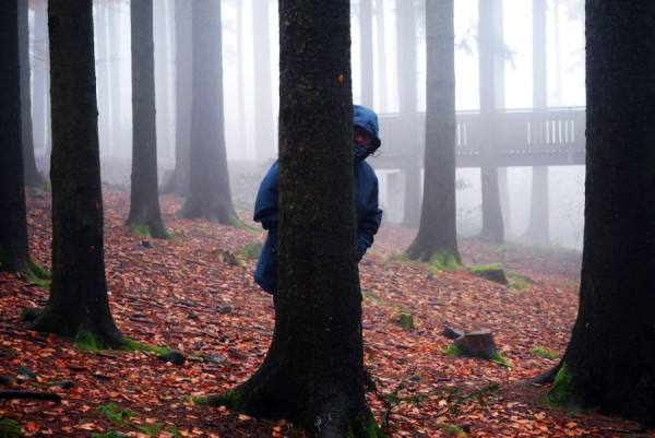 Apple Photos Document.jpeg