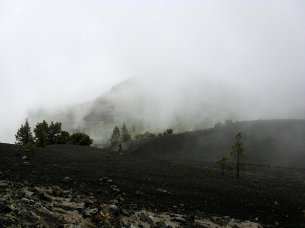 Nebel La Palma.jpeg