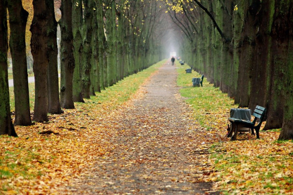 IMG_5891_Radiant (Groß).jpg