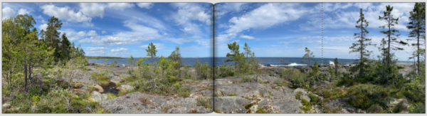 Panorama.png