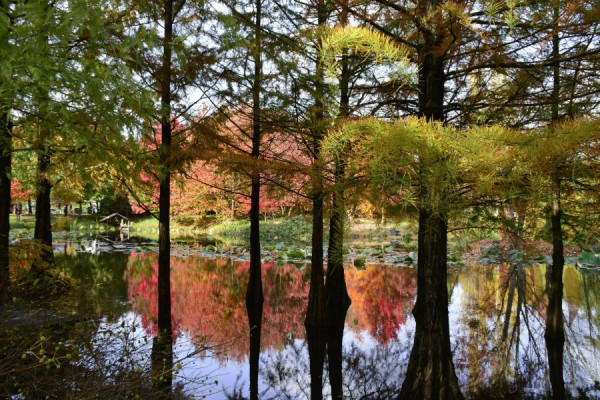 10.23Arboretum (34).jpg