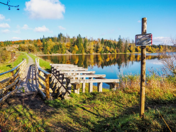 Prinzenteich und Junkernfelder Graben_2024 10 23_0055.jpg