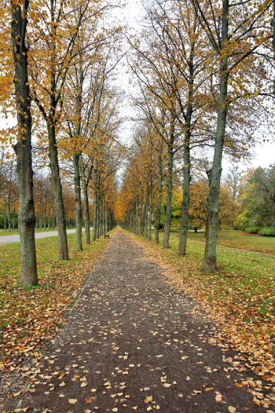 IMG_5840_Radiant (Groß).jpg