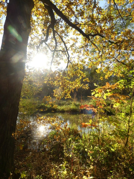 Herbst_2.jpg