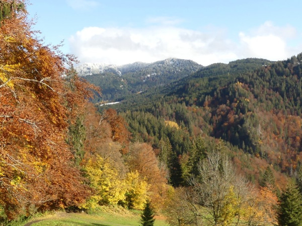 Herbst_4.jpg