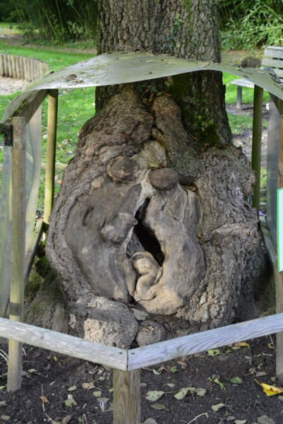 Arboretum klein (12).JPG