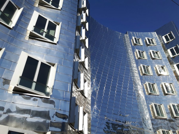 comp_Collage (3).jpg