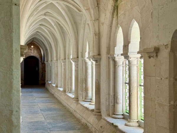 Chartreuse de Neuville.JPEG