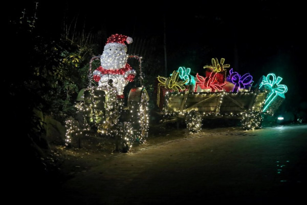 IMG_9294_Radiant (Groß).jpg