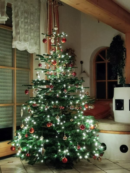 Unser Christbaum 2023.jpg
