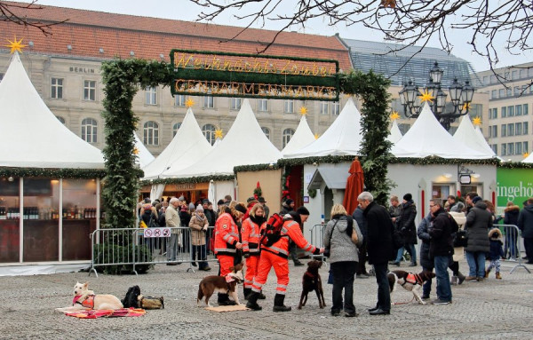 IMG_2446 (Groß).jpg