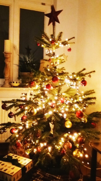 Weihnachtsbaum3.jpeg