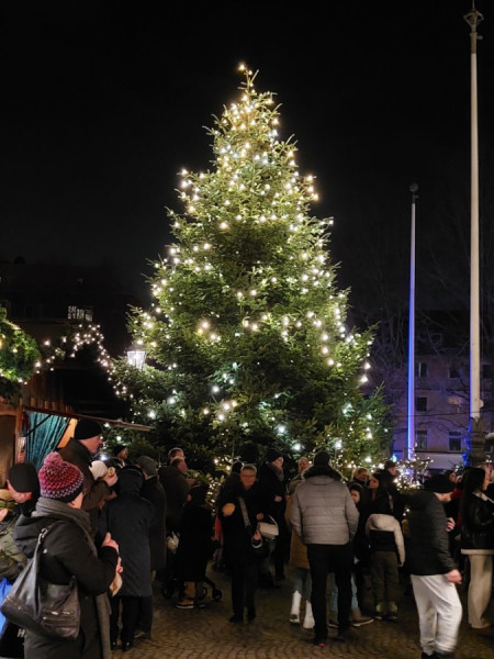 Weihnachtsbaum Markts.jpg