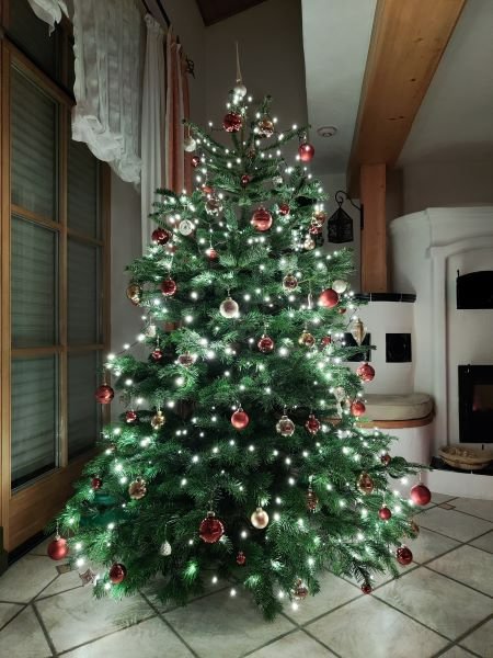 Christbaum - Lichterglanz.jpg