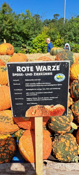 08.24Klaistow (43).jpg