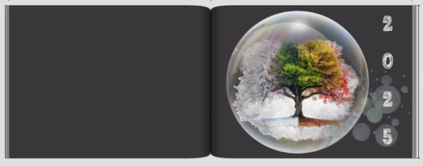 Screenshot (342).png