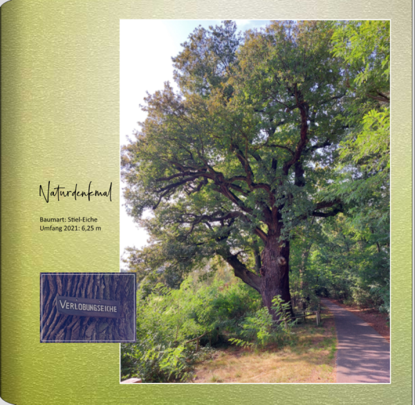 Screenshot (101).png