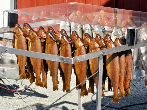 IMG_6059_Radiant (Groß).jpg