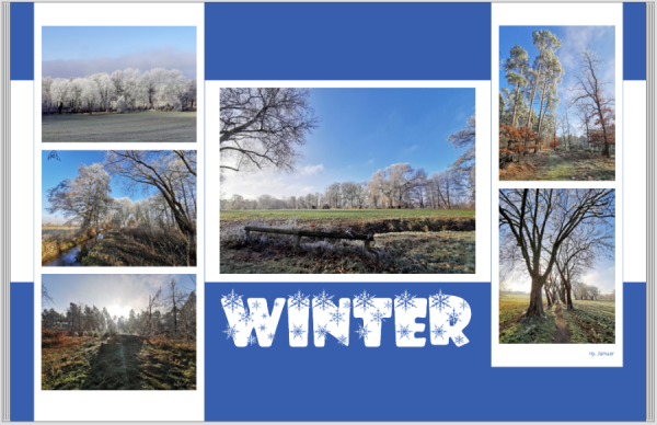 Screenshot 2025-01-20 112458.png