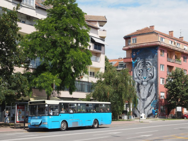 novisad P6160638 b.jpg