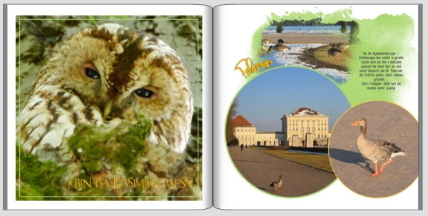 Jahrbuch Februar.jpg