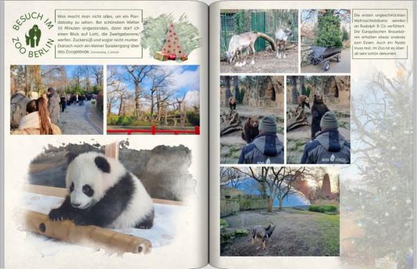 screenshot (79)-cut_tctr14l3_1ä.jpg