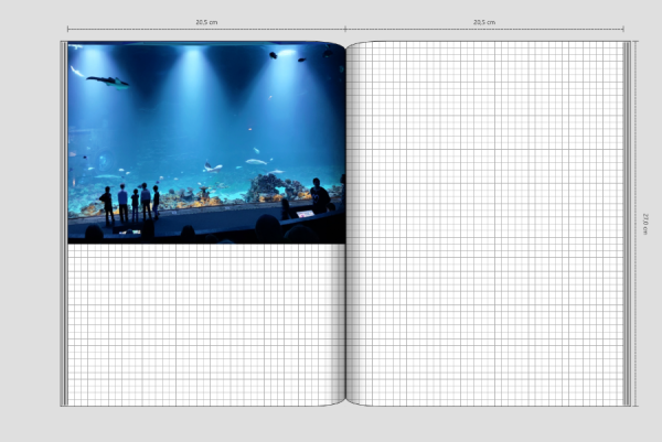 Screenshot (172).png