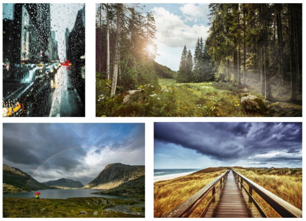 Screenshot 2025-03-03 135727.jpg