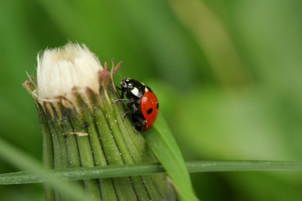 D74754F1-6655-452D-AE4E-7B611221210A (1).jpeg