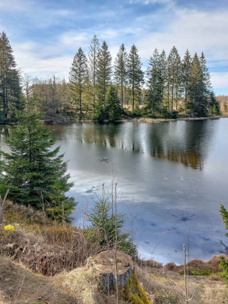 20250307_144032 b.jpg