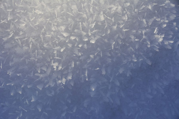 01.24Winter (17).jpg