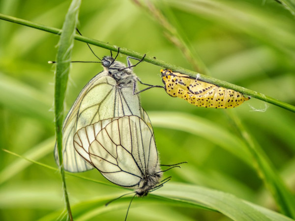 Schalker Graben_2021 06 28_0104.jpg