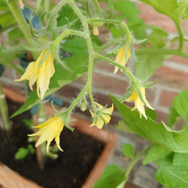 20220622_183011 (1).jpg