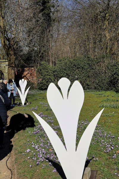 IMG_0212_Radiant (Groß).jpg