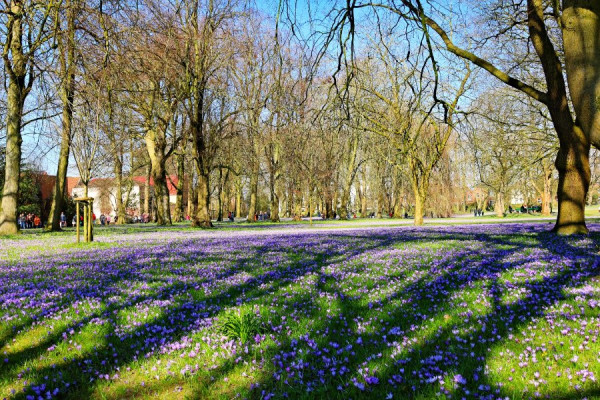 IMG_0260_Radiant (Groß).jpg