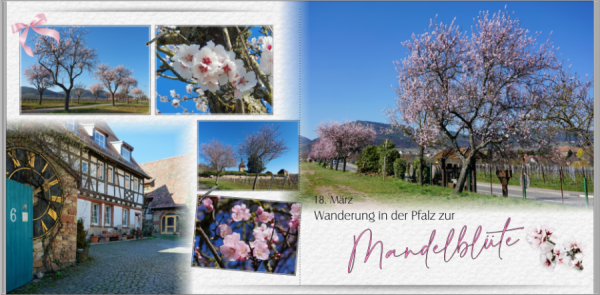 Screenshot 2025-03-24 141337.png