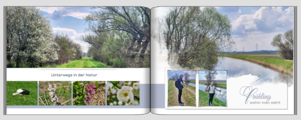 Screenshot (428).png