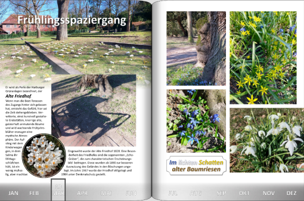 Screenshot (229).png