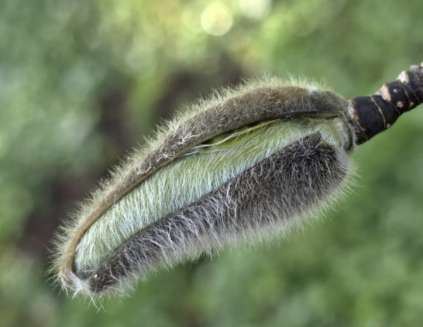 20250330_100413 - Kopie.jpg