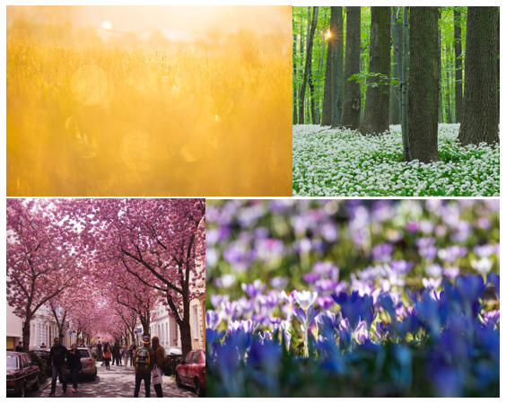 Screenshot 2025-01-28 114840.png