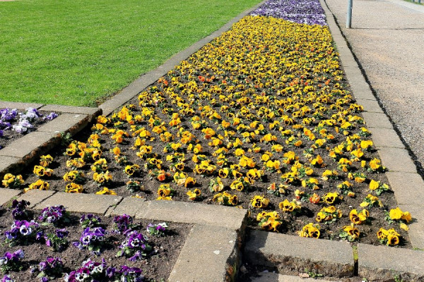 IMG_1566_Radiant (Groß).jpg